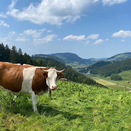 Weitnaustyle - Renoviert, Modern, Allergikerfreundlich エクステリア 写真